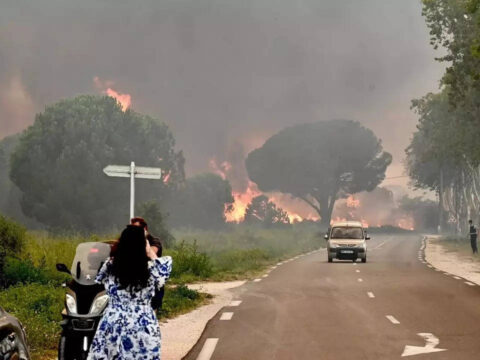 Fire destroys campsite and 500 hectares in south of France