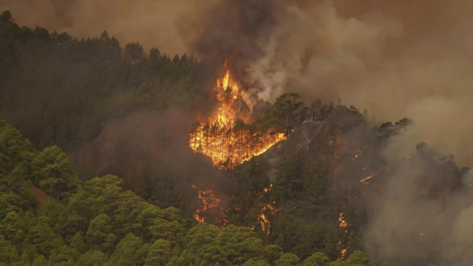 Out-of-control wildfire scorches Spain's Tenerife island, affecting thousands