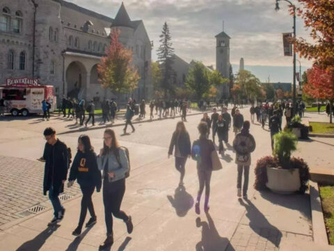 Canada reviewing international student programme to weed out unethical recruitment practices