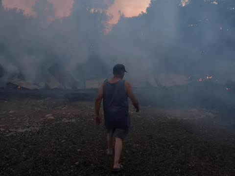 Livestock: Goat breeder says he's finished after deadly Evros wildfire kills livestock