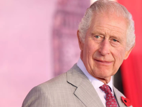 king charles iii admitted to hospital for enlarged prostate treatment | World News