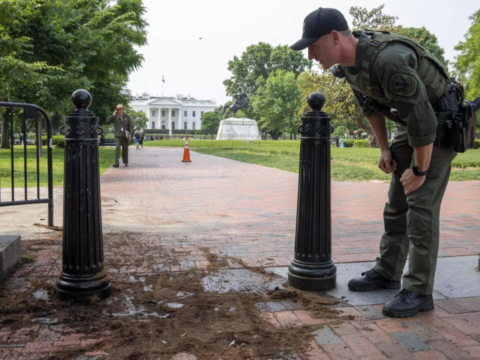 'Made several attempts to...': Indian national pleads guilty to attacking White House with rented truck