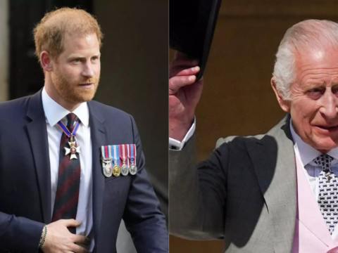 'Prince Harry declines meeting with King Charles over security concerns'