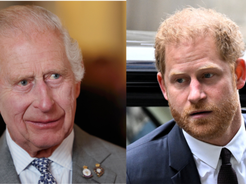 King Charles wishes to be 'unbothered' by Prince Harry amid Cancer treatment