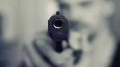 Indian-origin man shoots brother dead, injures mother