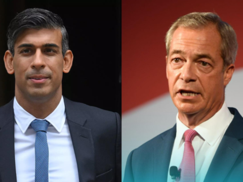 Opinion poll puts Reform UK ahead of Rishi Sunak's conservative party