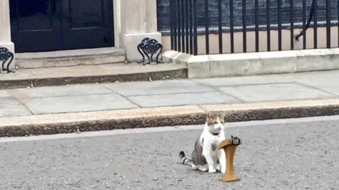 Larry the Downing Street Cat remains constant amidst changes | World News