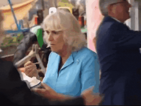 Watch: King Charles, Queen Camilla escorted away due to false security alert while eating ice cream