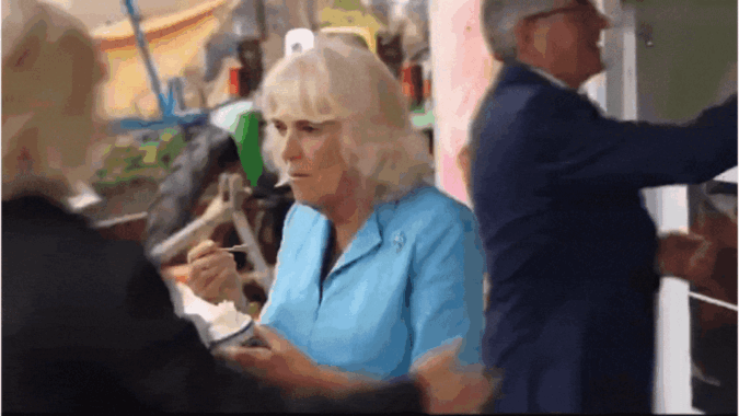 Watch: King Charles, Queen Camilla escorted away due to false security alert while eating ice cream