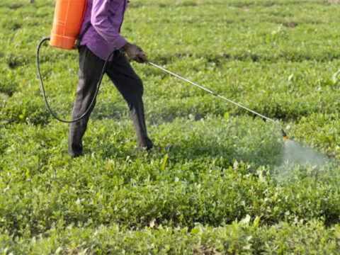 Govt provides Rs 37,000 cr fertiliser subsidy till July 22 this fiscal