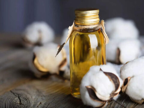 Cottonseed oil prices likely to rise by Rs 5-6 per litre during festive season