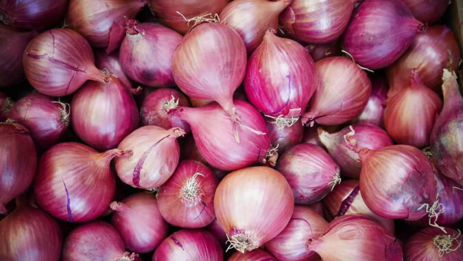 Onion to stay on hot plate for a fortnight, say traders