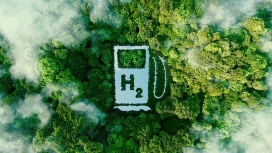 Just 12% of hydrogen plants considered low-carbon because they avoid natural gas or mitigate emissions have customers with agreements to use the fuel, (Shutterstock)