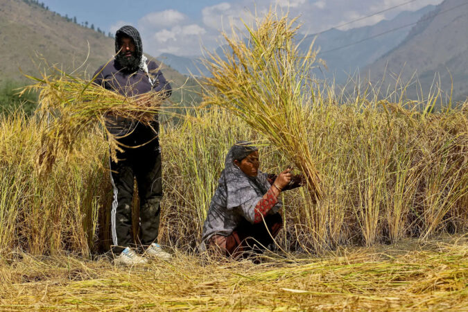 Over 73 per cent of Agriculture Budget goes towards welfare measures, subsidies: ICRIER