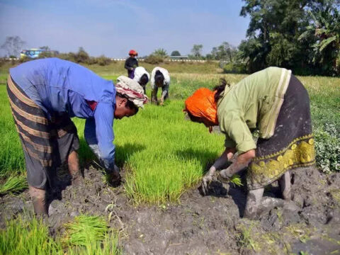 India economy news: Rural economy is driving India's growth, Govt capex in infra will stimulate it: Report