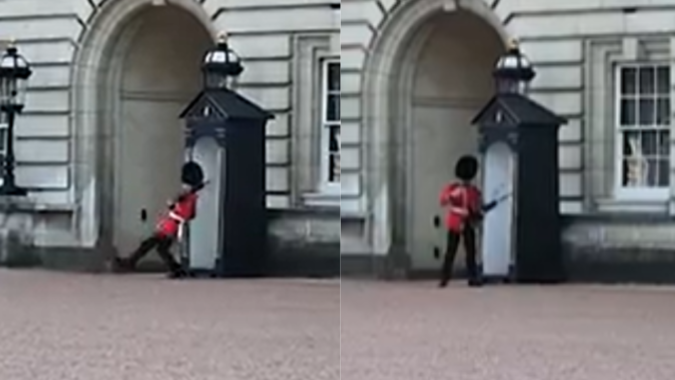 Buckingham Palace guard on duty slips and falls in viral video