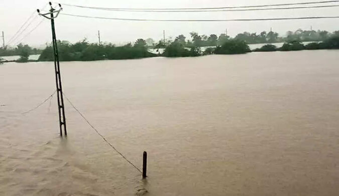 Rains, cyclone threaten Gujarat's cotton and peanut crops ahead of harvest