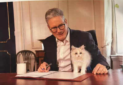 New 'Prince' joins Downing Street: First picture of UK PM Keir Starmer's cat released