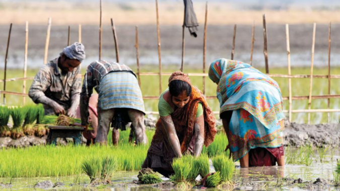 Cabinet announces Rs 2,817 cr for Digital Agriculture Mission eyeing farmers' welfare through tech