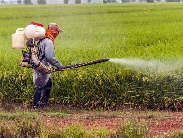 Agrochemicals exports may touch Rs 80,000 cr in 4 yrs: ACFI-EY report