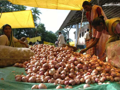 India onion export: Centre removes minimum export condition on onions; effective immediately