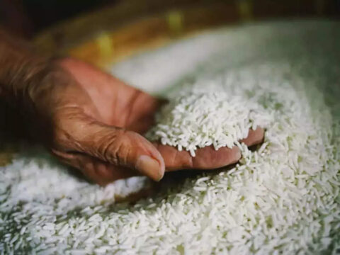 Centre removes floor price for basmati rice exports