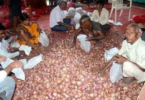 export onions: Govt removes MEP of rice, onions