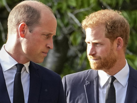 Birthday wishes or just formality? The truth behind William's message to Harry