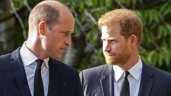 Birthday wishes or just formality? The truth behind William's message to Harry