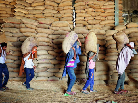 wheat prices: India's wheat curbs insufficient; traders demand stock release