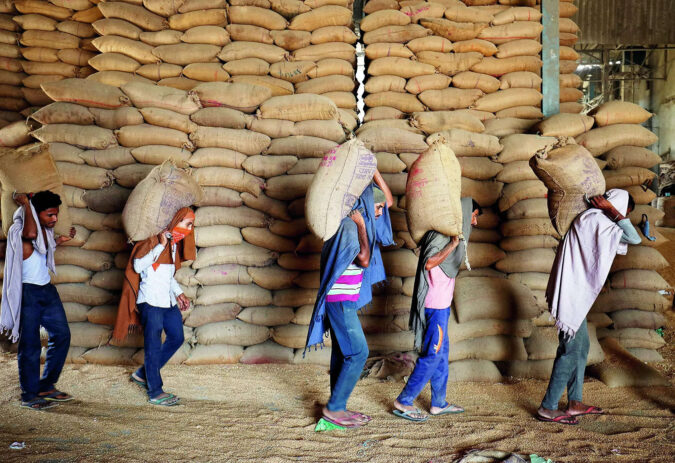 wheat prices: India's wheat curbs insufficient; traders demand stock release