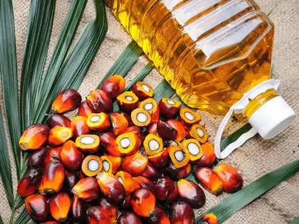 palm oil production: India palm oil output to triple in 6 years as farmers plant more, says Agrovet exec