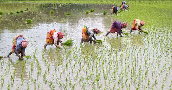 Retail inflation for farm workers eased to 5.96% in Aug; 6.08% for rural labourers