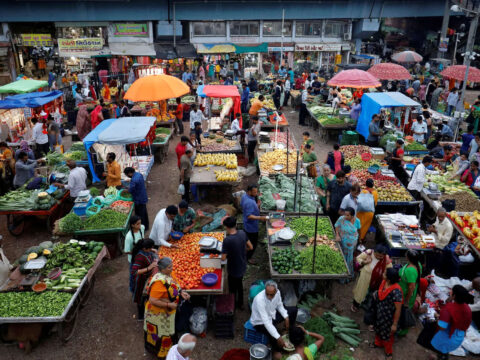 Horticulture production falls slightly in 2023-24, fruit output rises