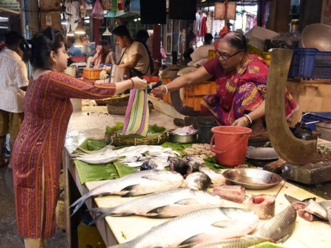 Bangladesh to export 2,420 tonnes of Hilsa fish to India ahead of festive season