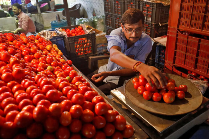 Government to sell tomatoes at Rs 65/kg