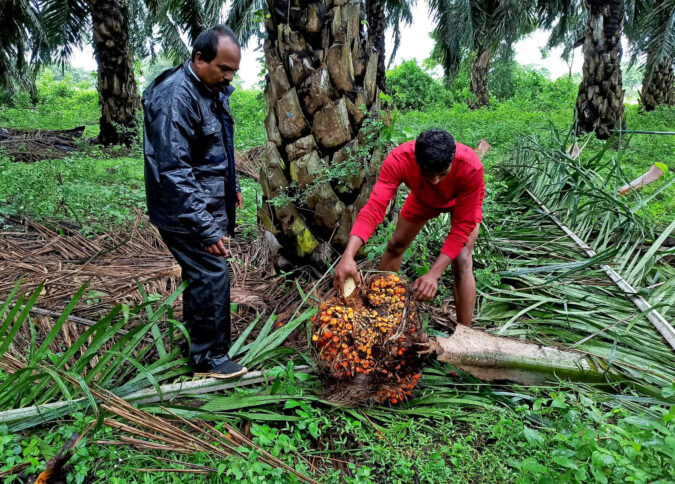 India Maldives trade: Malaysia says India's move to hike import duty on palm oil a 'temporary aberration'