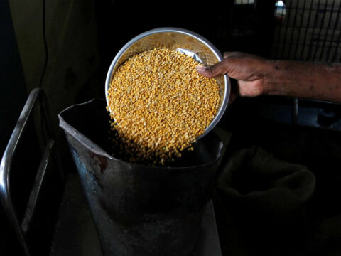 Indian buyers expect no disruption in Canadian lentil, potash supplies