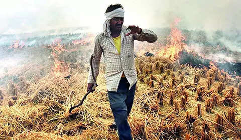 In SC, Punjab blames centre; Haryana lists rewards, fines to curb farm fires