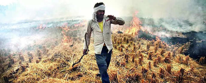 In SC, Punjab blames centre; Haryana lists rewards, fines to curb farm fires