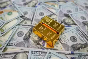 India's foreign exchange reserves drop by $2.163 billion amid investor sell-off