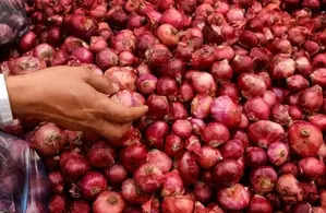 Government steps up onion supplies via rail transport to control prices; 840 tonne reaches Delhi