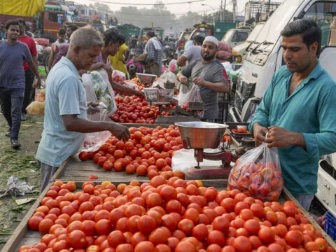 Retail tomato prices drop 22.4 pc on improved supplies: Govt