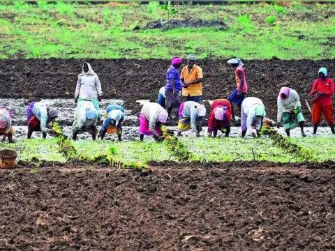 India to go natural for farming. Cost: ₹2,481 crore