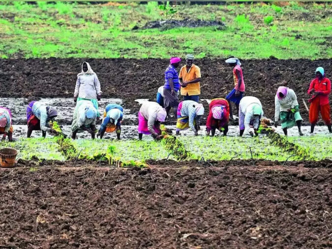 India to go natural for farming. Cost: ₹2,481 crore