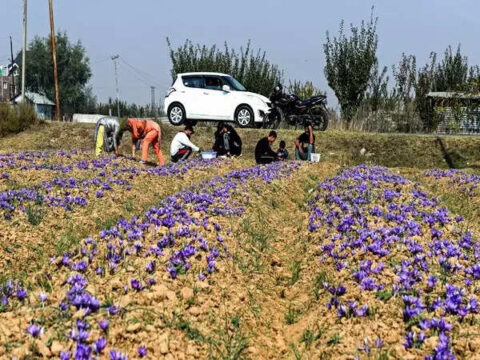 India signs $98 mn loan agreement with Asian Development Bank to boost horticulture productivity