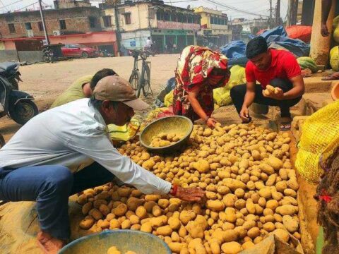 potato prices: Potato traders threaten strike from Tuesday if West Bengal doesn't allow selling to other states