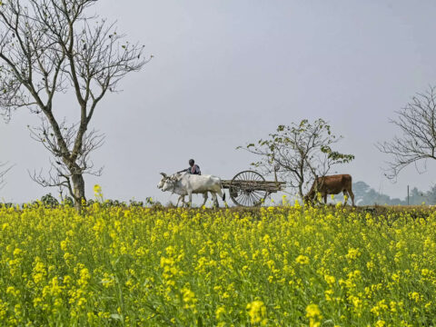 Union Budget: Budget 2025 expectations: Farmers seek cheaper credit, lower taxes, doubling PM-KISAN amount in pre-budget meet with FM Sitharaman