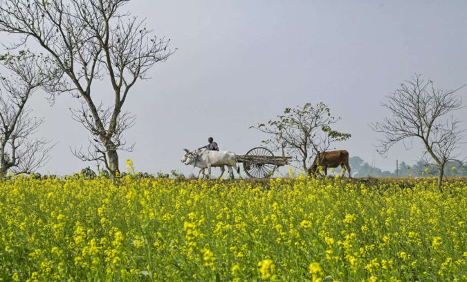 Union Budget: Budget 2025 expectations: Farmers seek cheaper credit, lower taxes, doubling PM-KISAN amount in pre-budget meet with FM Sitharaman