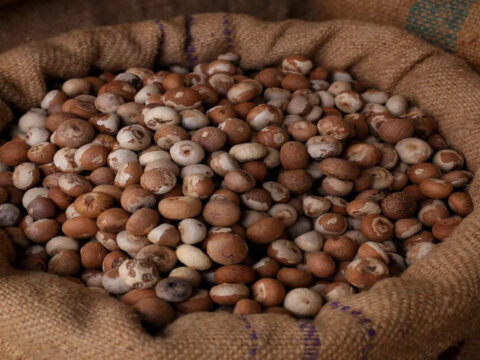 Imports of roasted areca nuts below ₹351/kg restricted